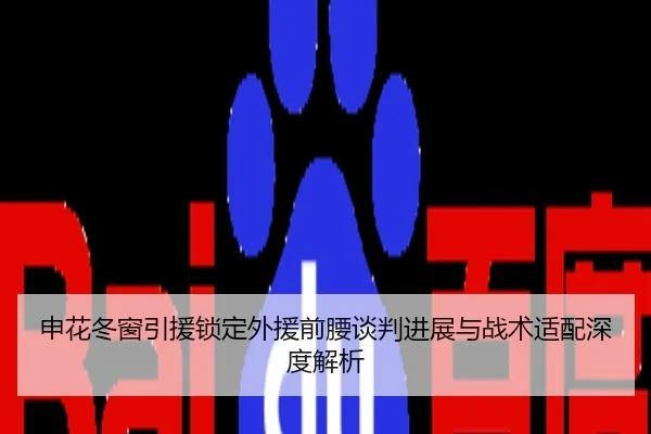 申花冬窗引援锁定外援前腰谈判进展与战术适配深度解析