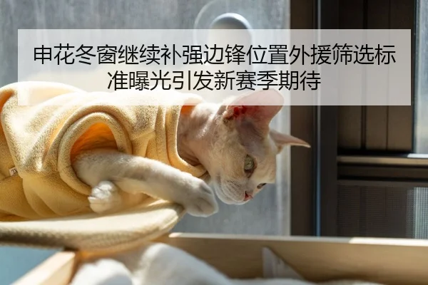申花冬窗继续补强边锋位置外援筛选标准曝光引发新赛季期待